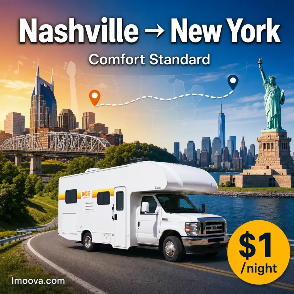 Comfort Standard - image 1