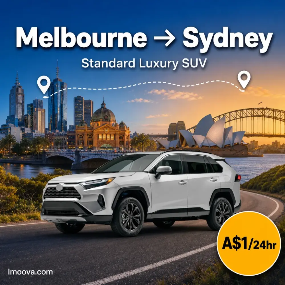 Standard Luxury SUV - image 1