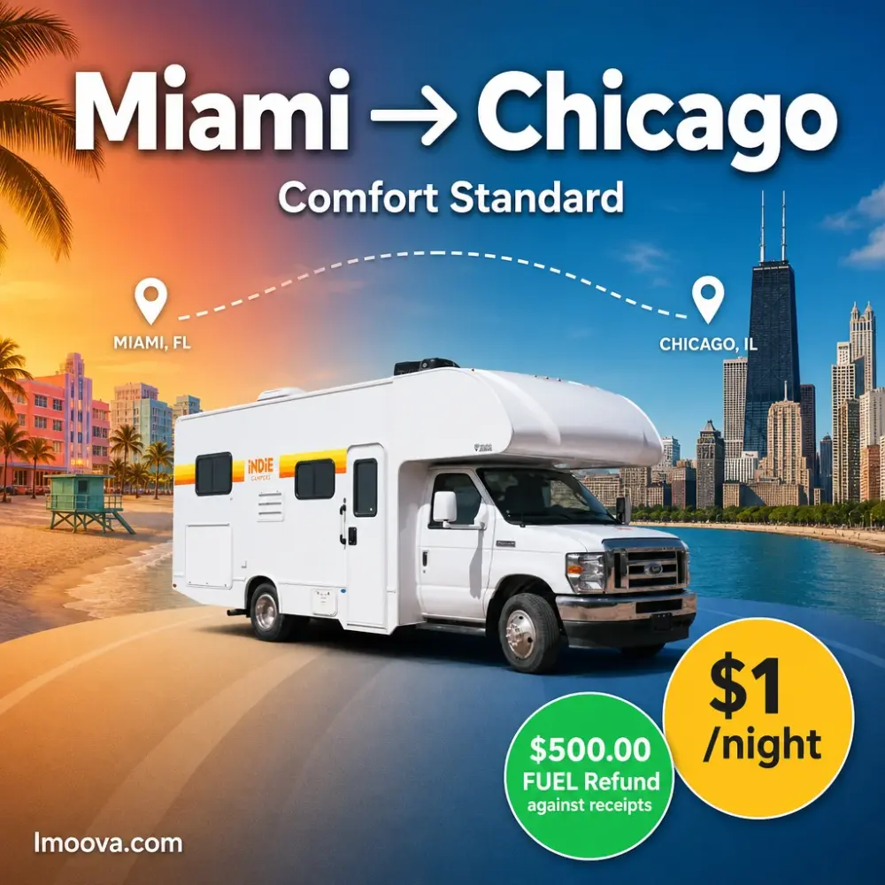 Comfort Standard - image 1