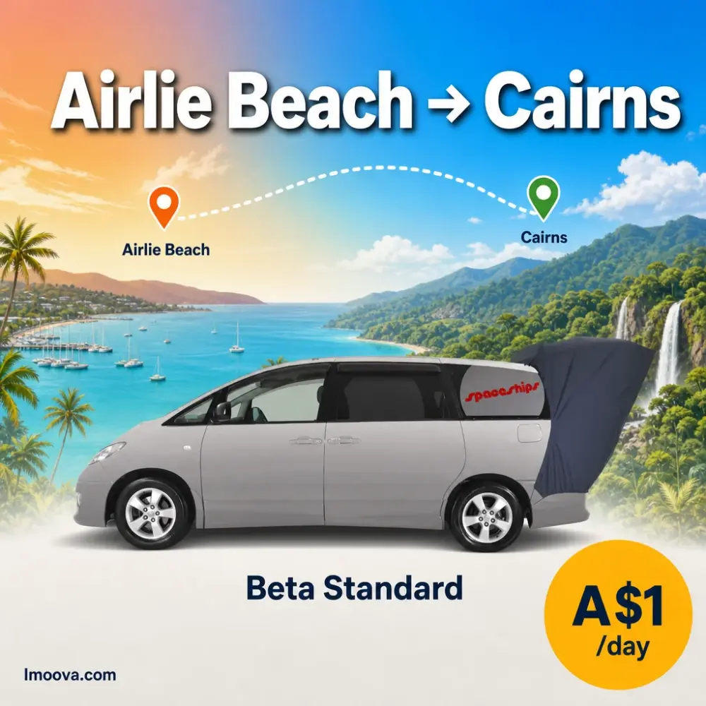 Beta Standard - image 1