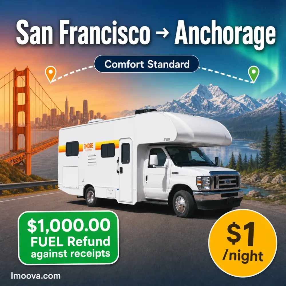 Comfort Standard - image 1
