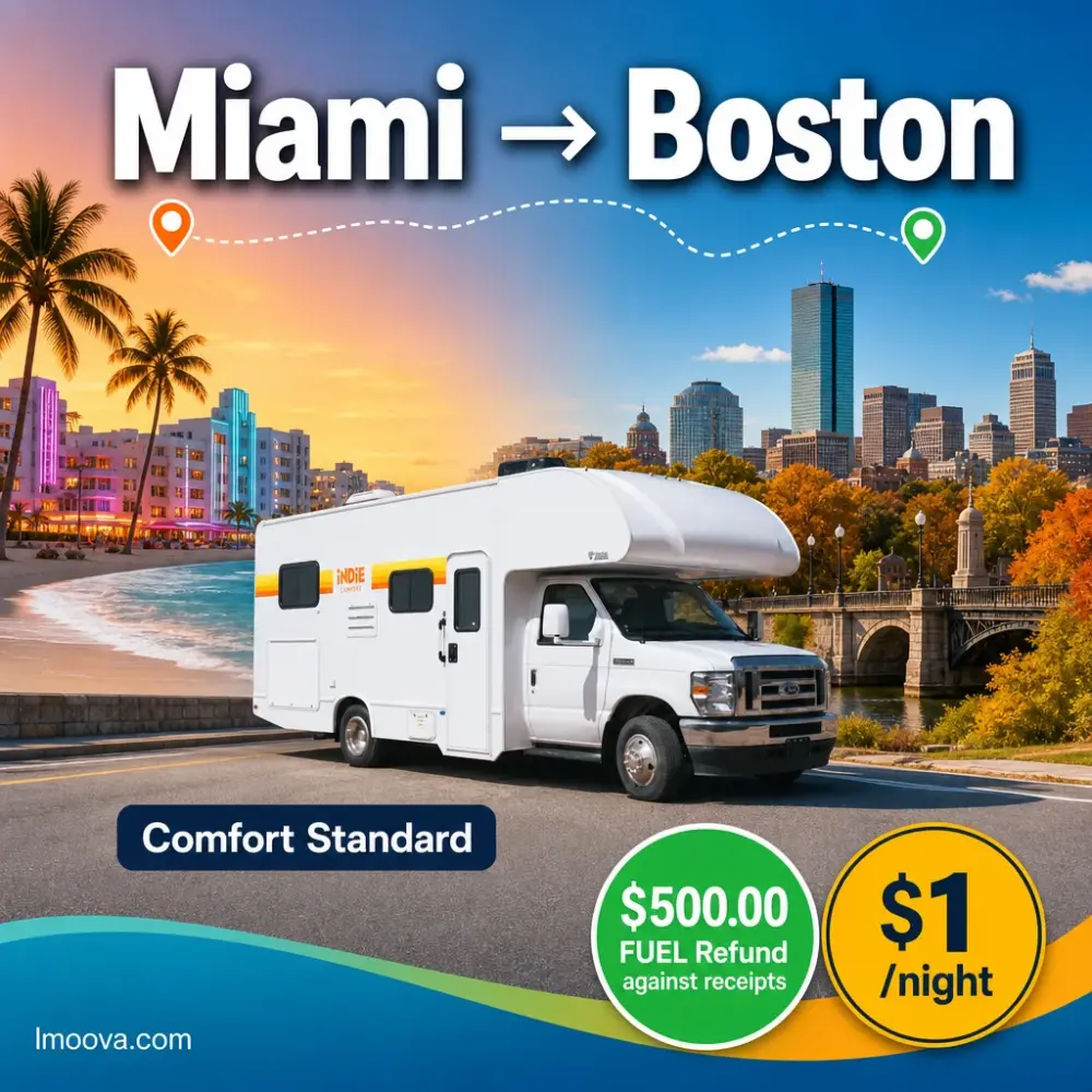 Comfort Standard - image 1