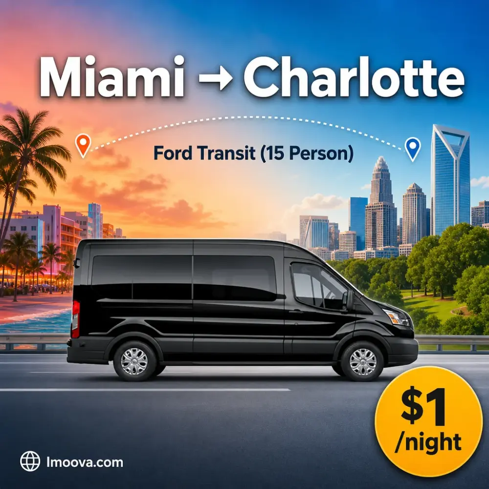 Ford Transit (15 Person) - image 1