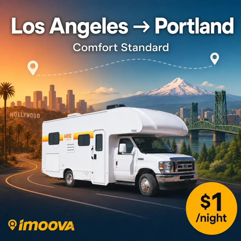 Comfort Standard - image 1