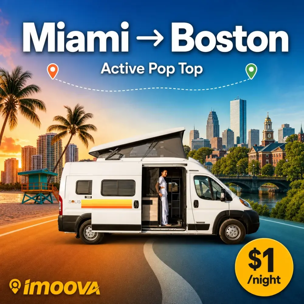 Active Pop Top - image 1