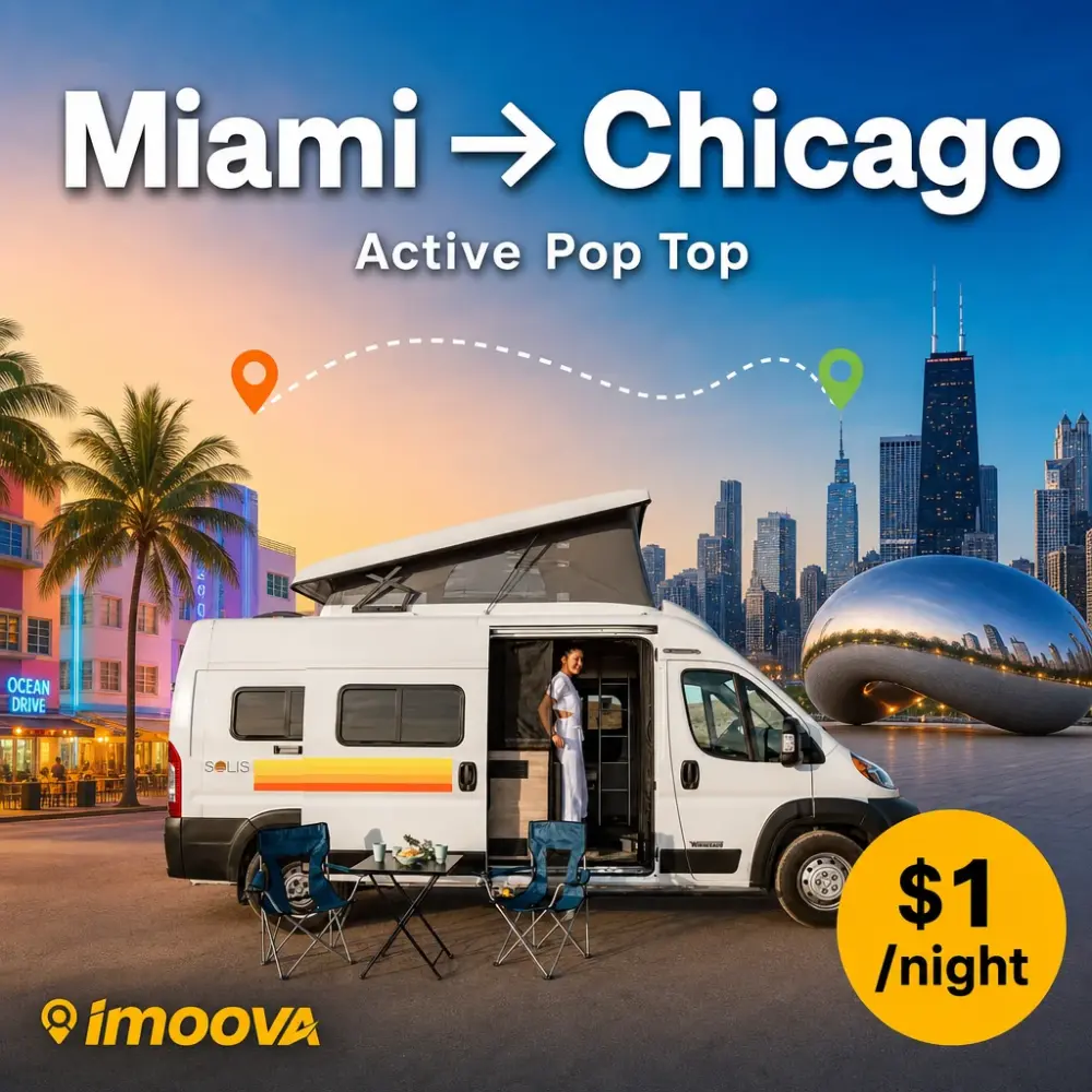 Active Pop Top - image 1
