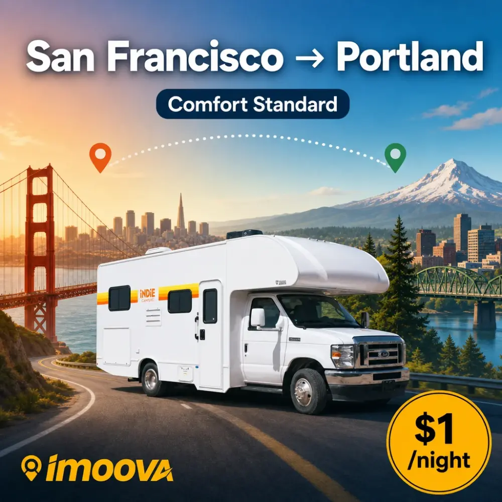 Comfort Standard - image 1