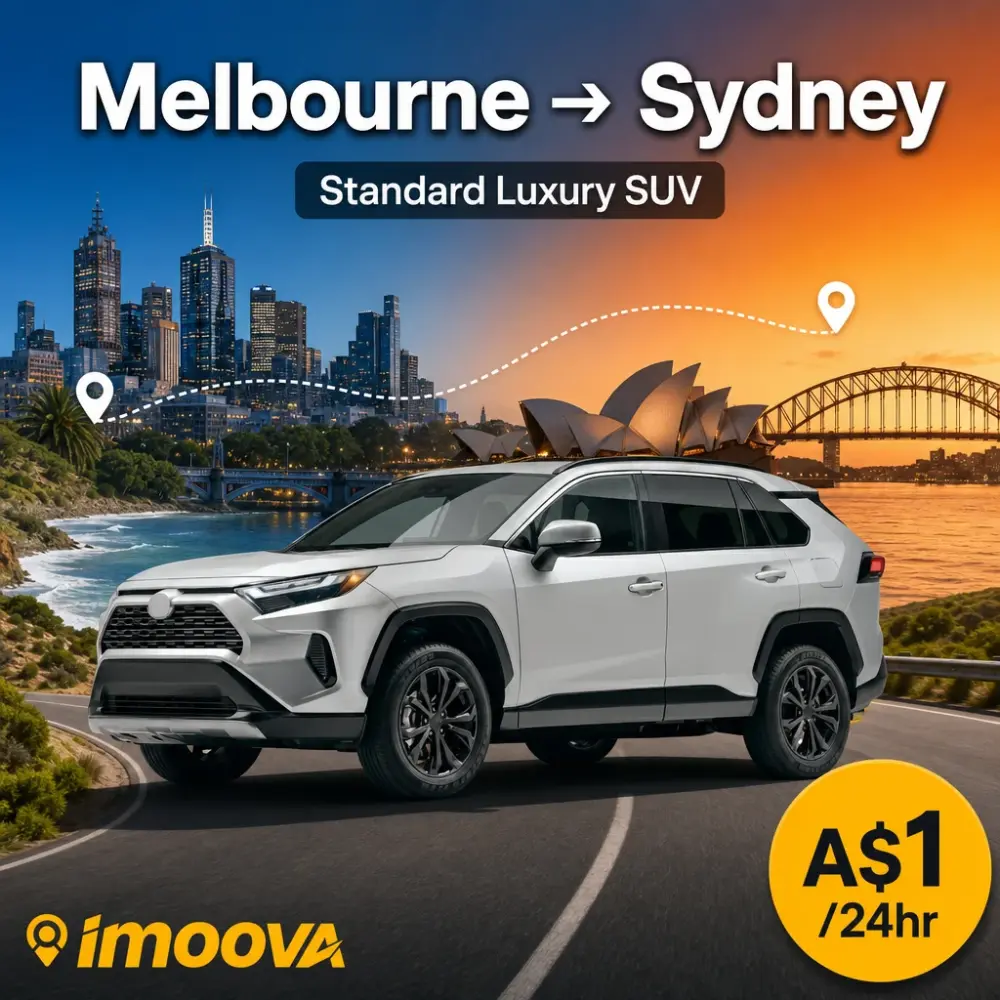 Standard Luxury SUV - image 1
