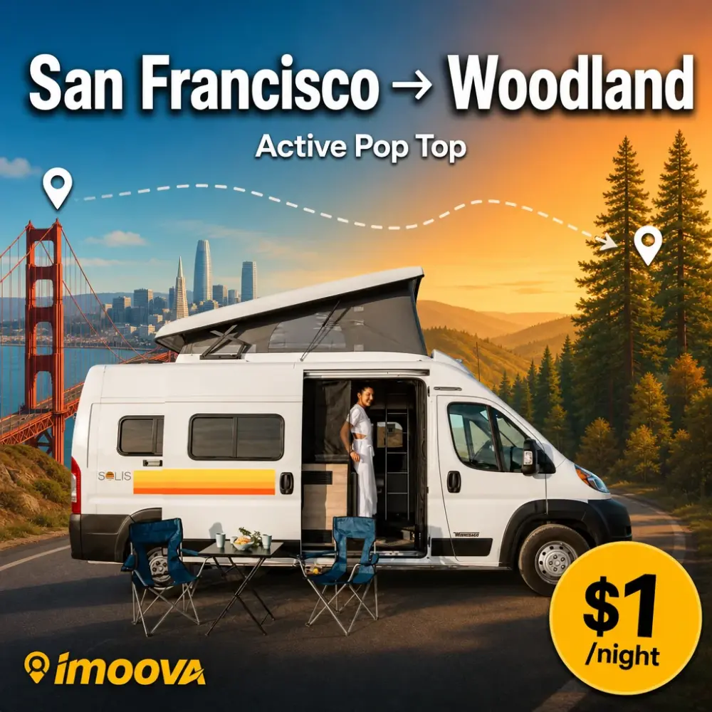 Active Pop Top - image 1