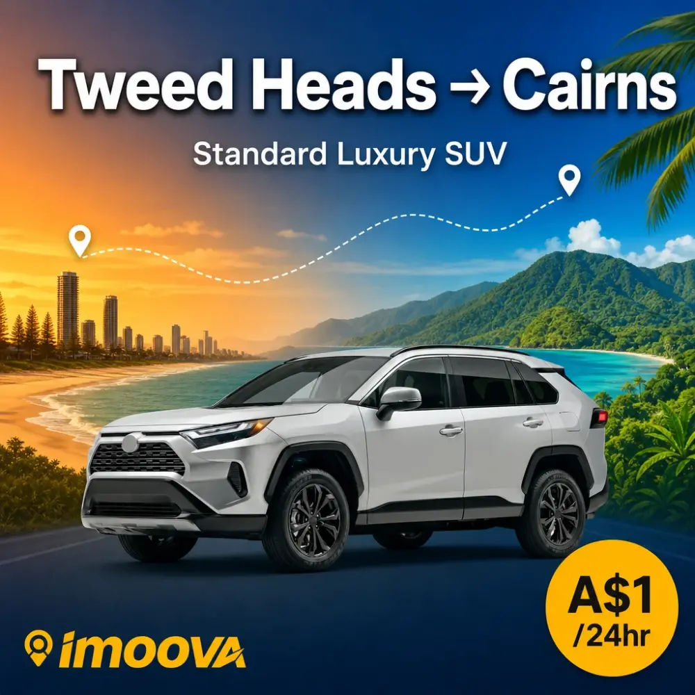 Standard Luxury SUV - image 1