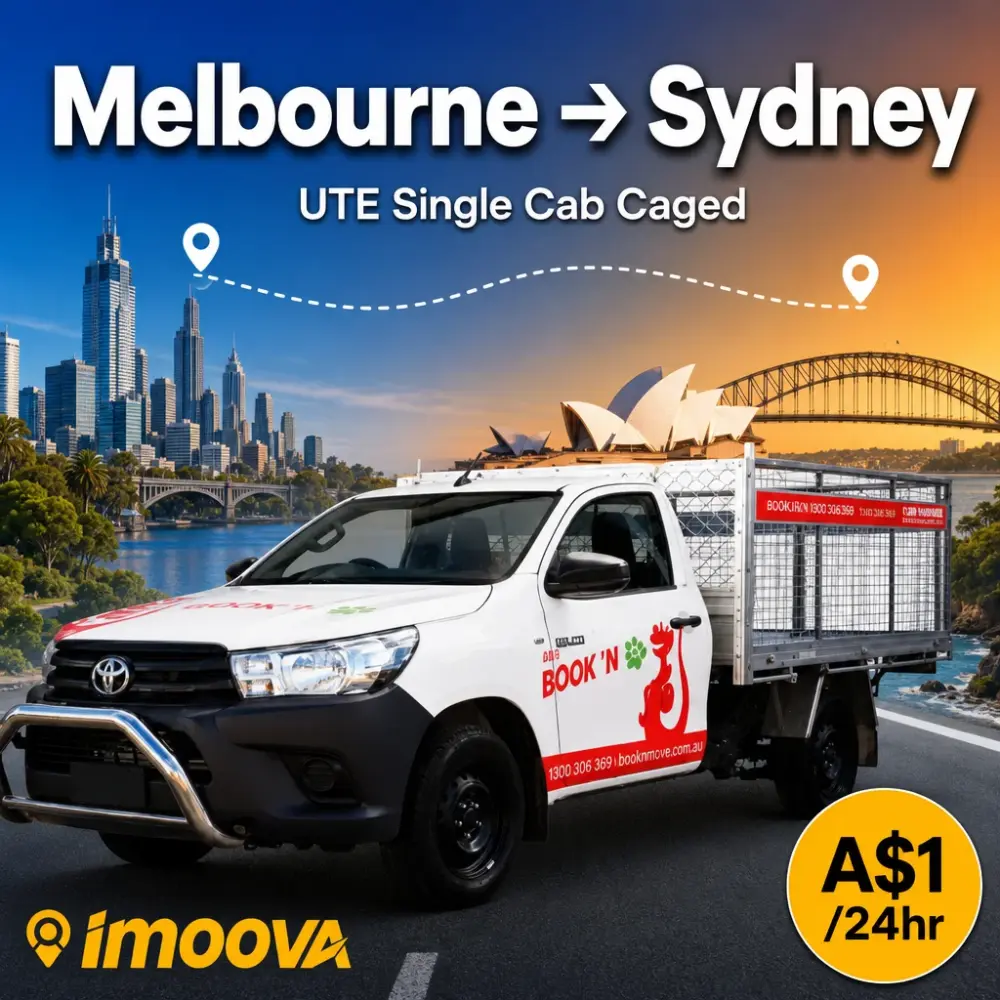 UTE Single Cab Caged - image 1