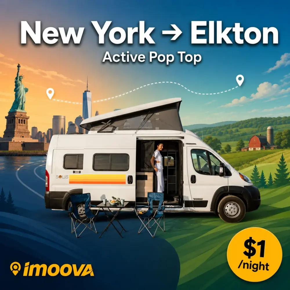 Active Pop Top - image 1