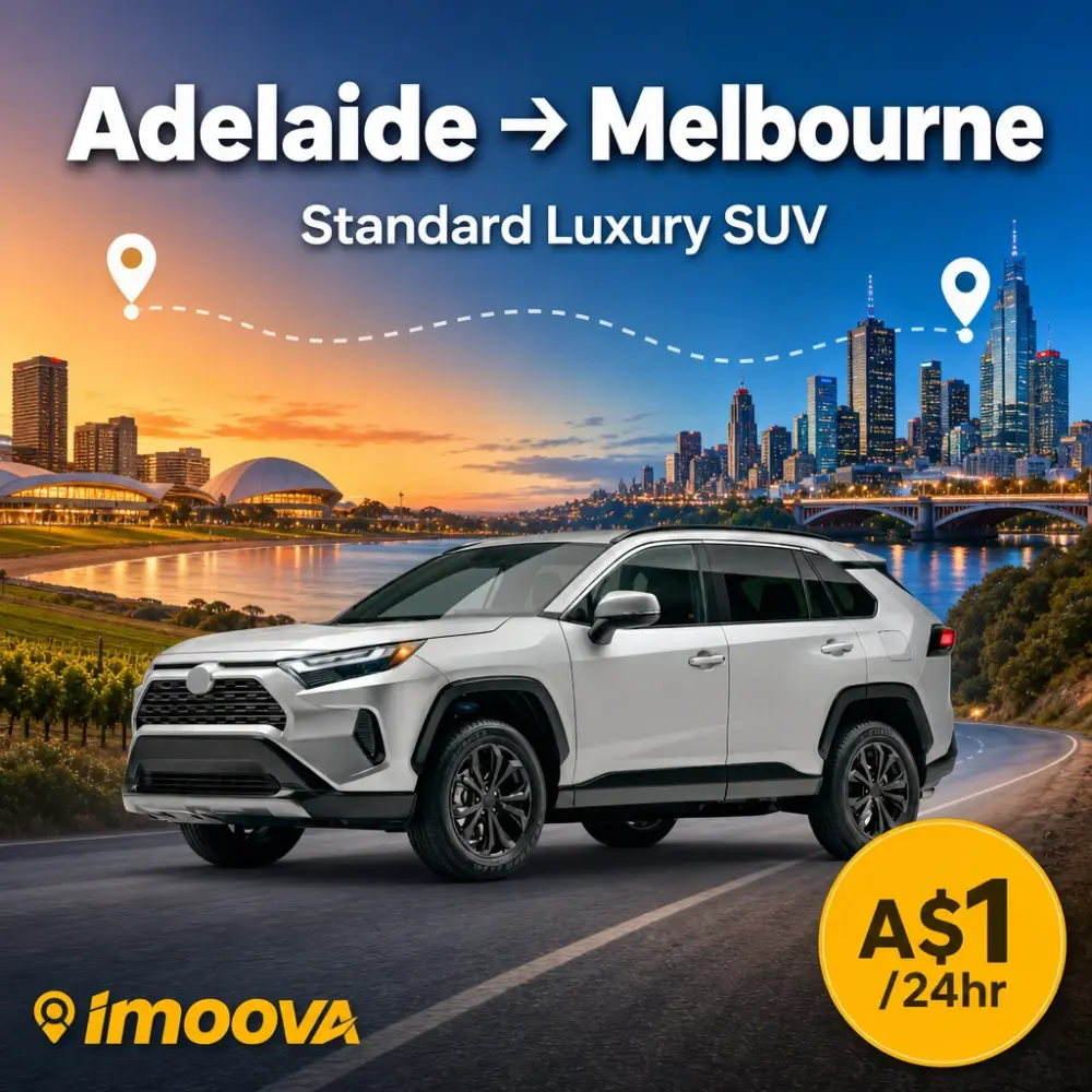 Standard Luxury SUV - image 1