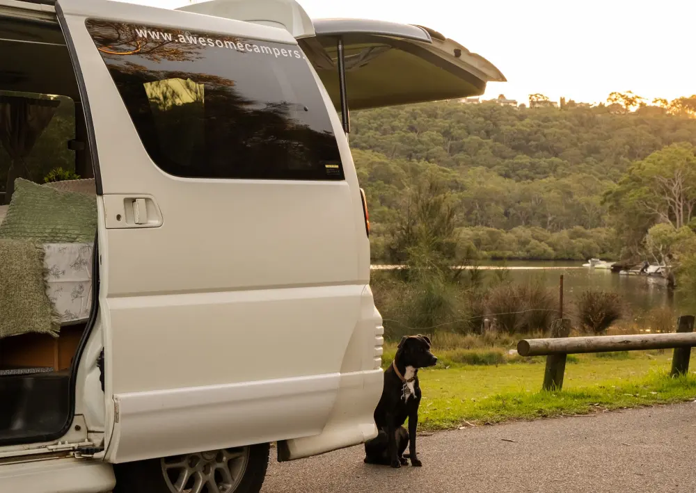 Sun Chaser 2 Berth - image 12