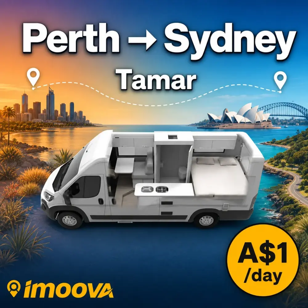 Tamar - image 1