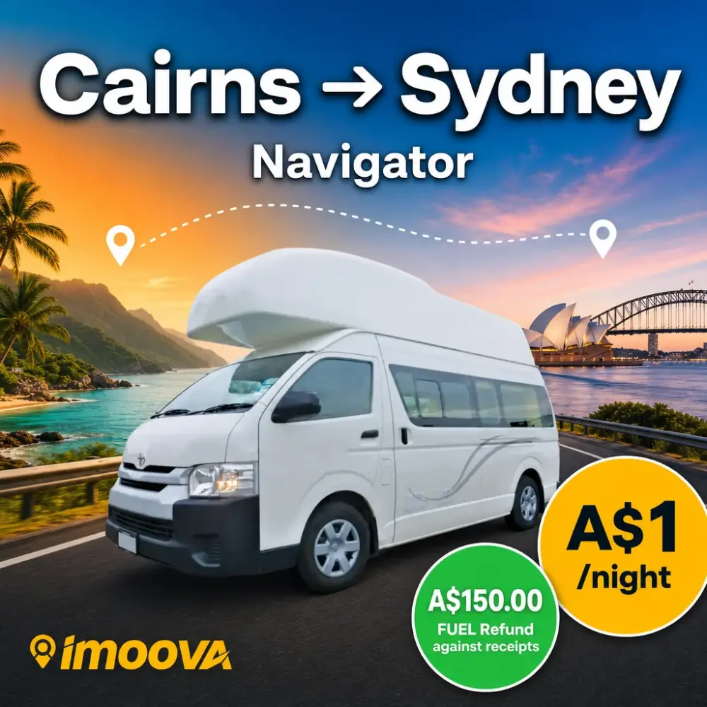 Navigator - image 1