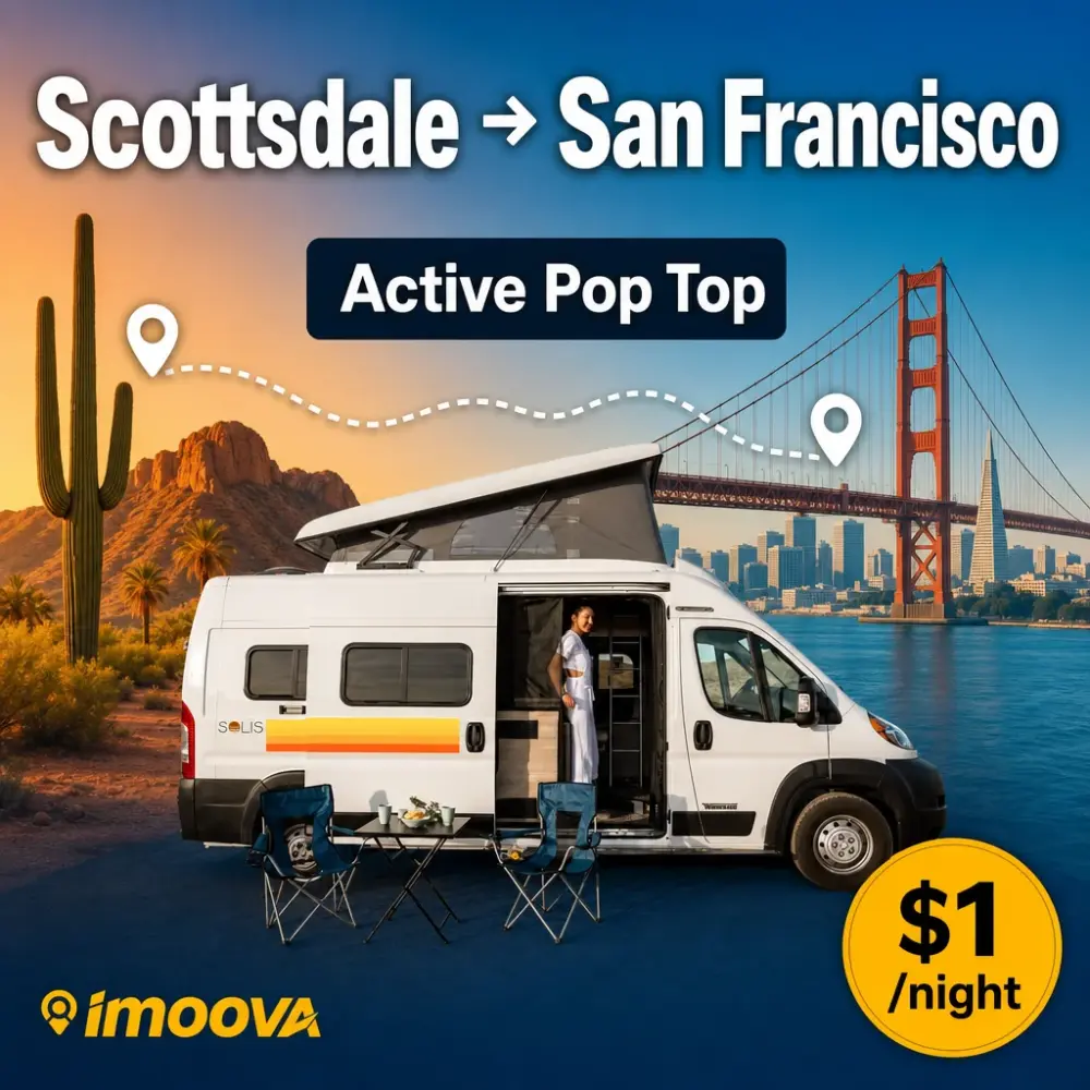 Active Pop Top - image 1