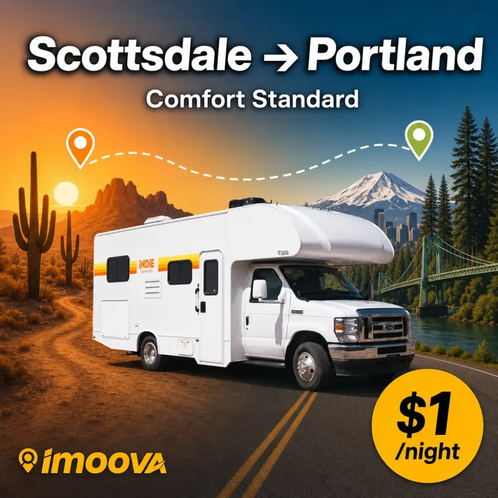 Comfort Standard - image 1