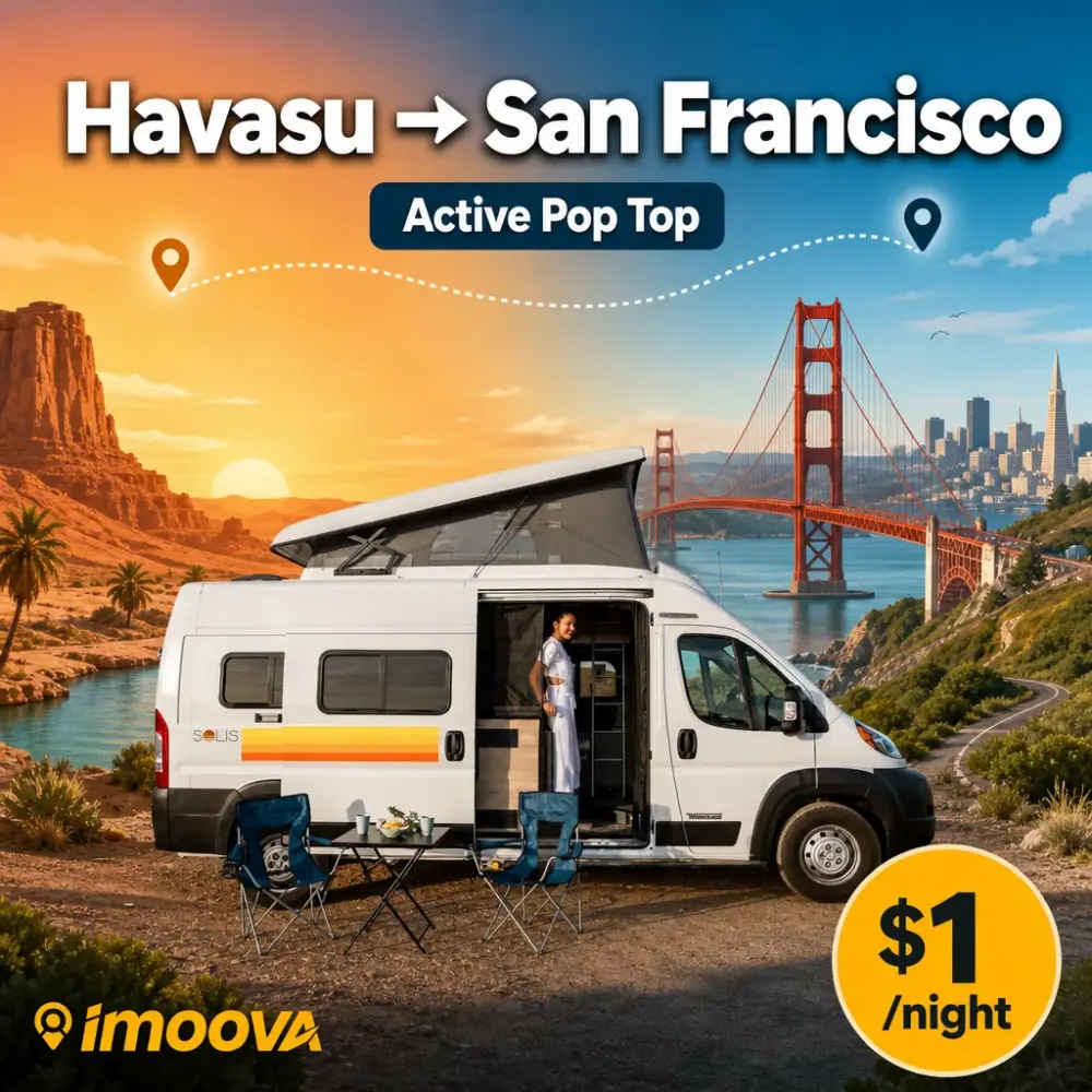 Active Pop Top - image 1