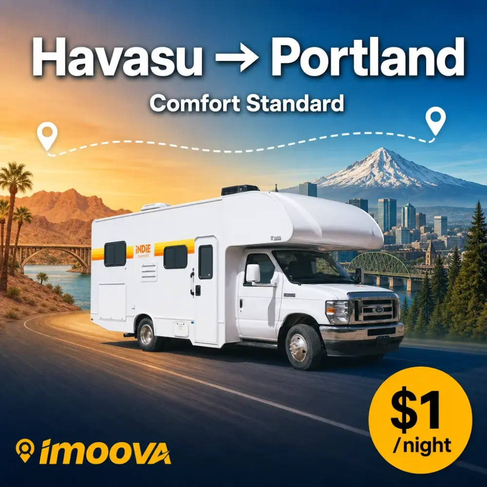 Comfort Standard - image 1