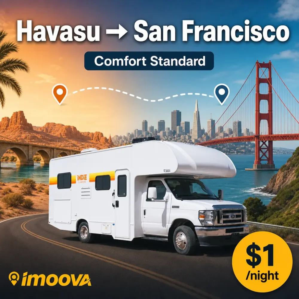 Comfort Standard - image 1