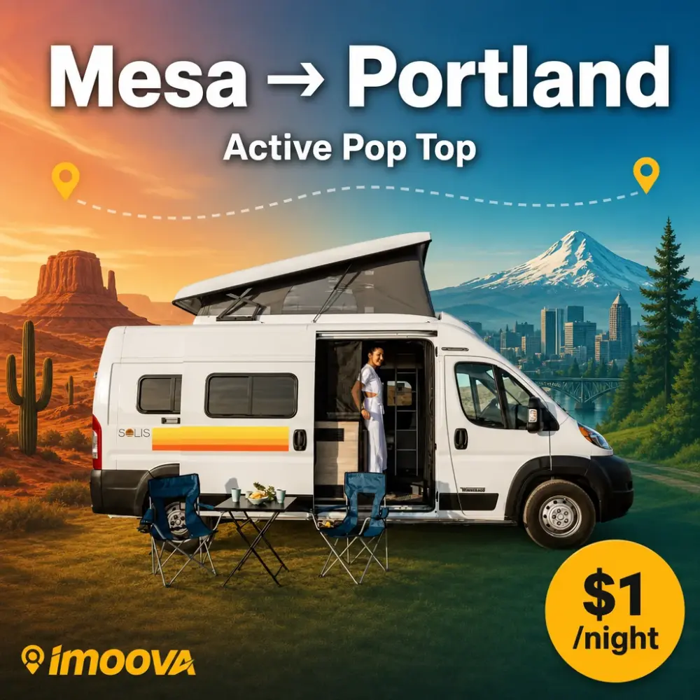 Active Pop Top - image 1