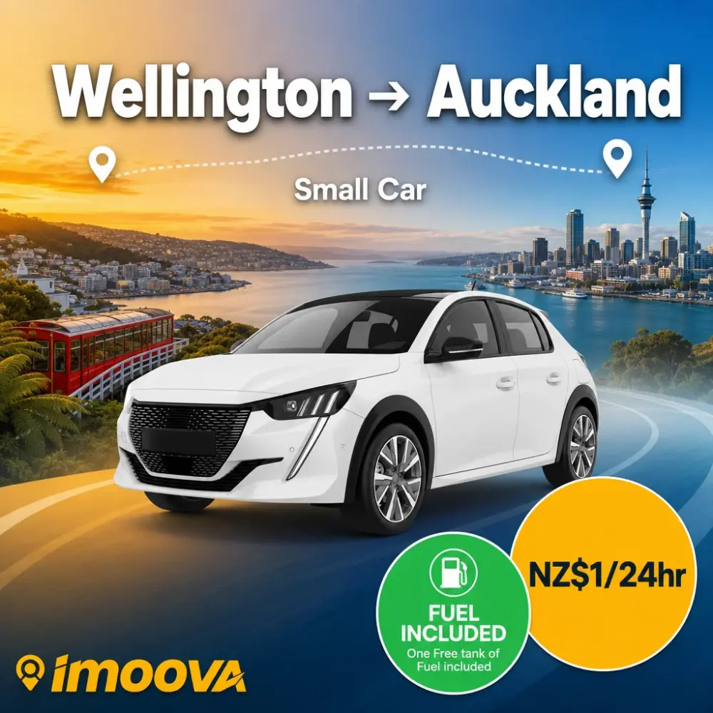 Small Car - image 1