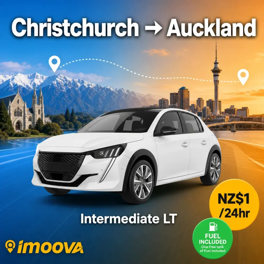 Intermediate LT - image 1
