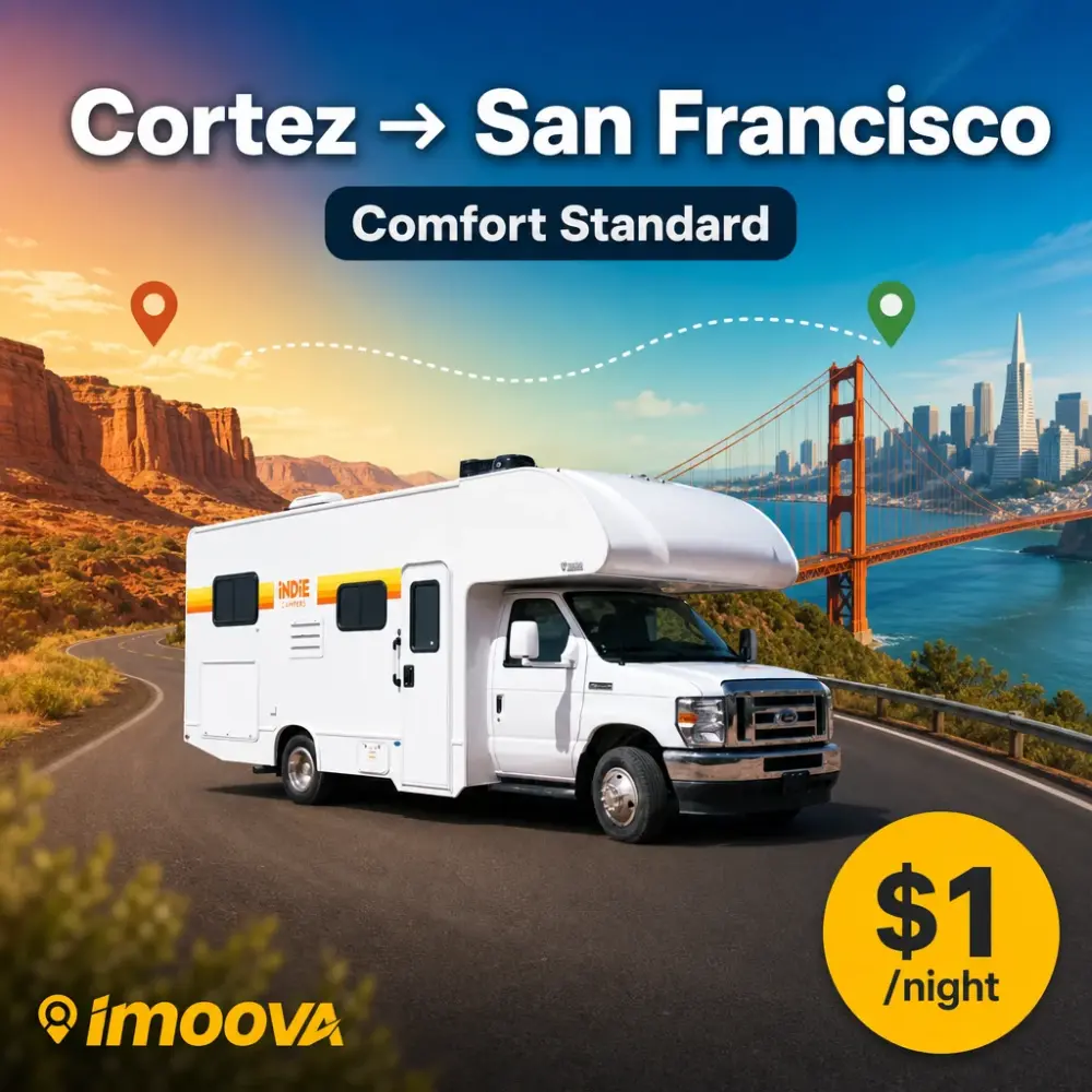 Comfort Standard - image 1