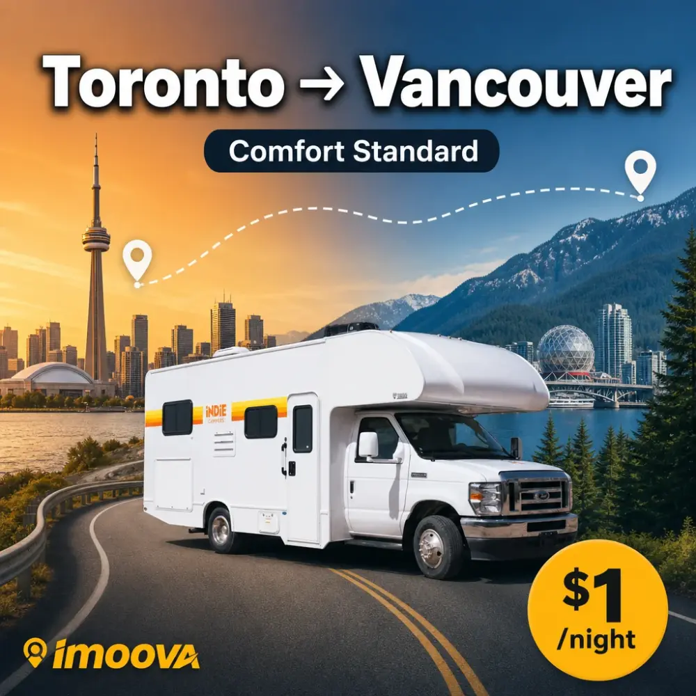 Comfort Standard - image 1