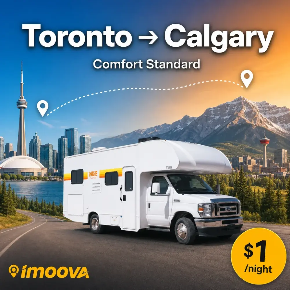 Comfort Standard - image 1