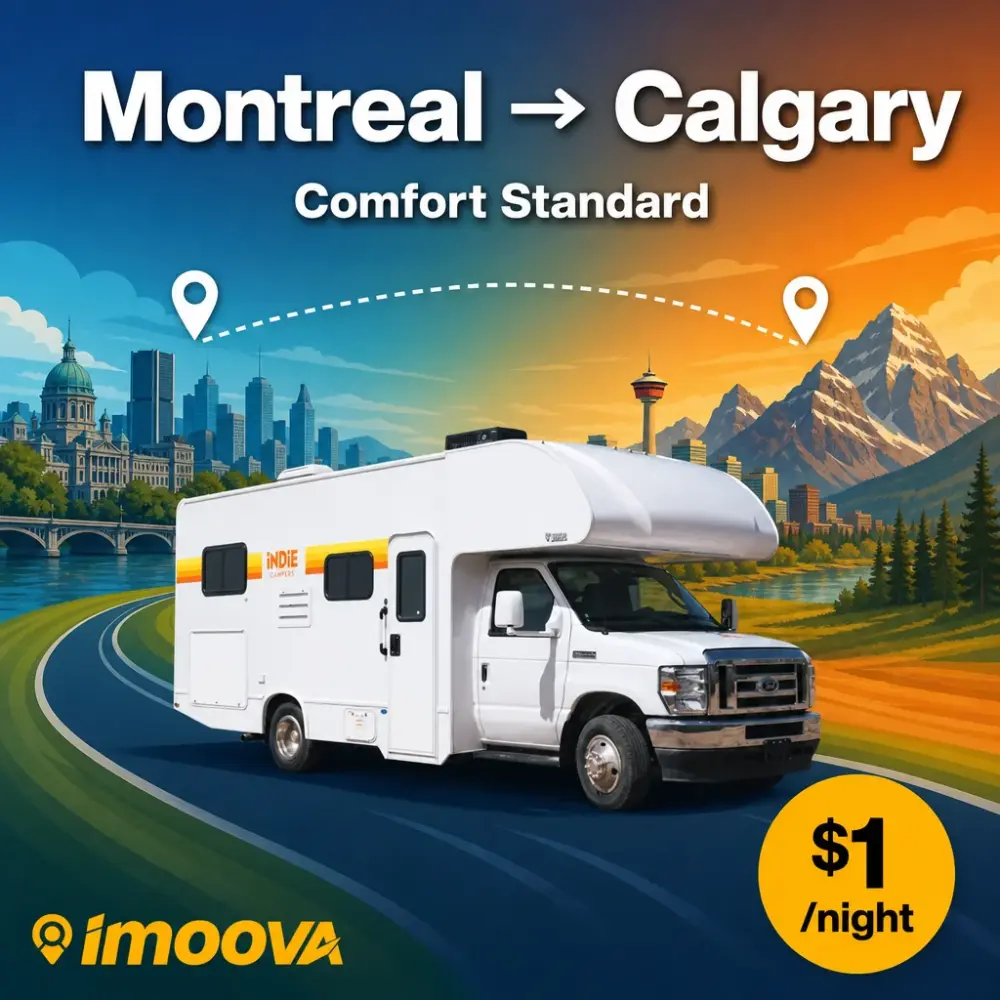 Comfort Standard - image 1