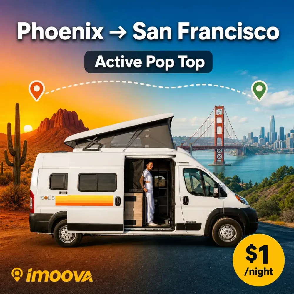 Active Pop Top - image 1