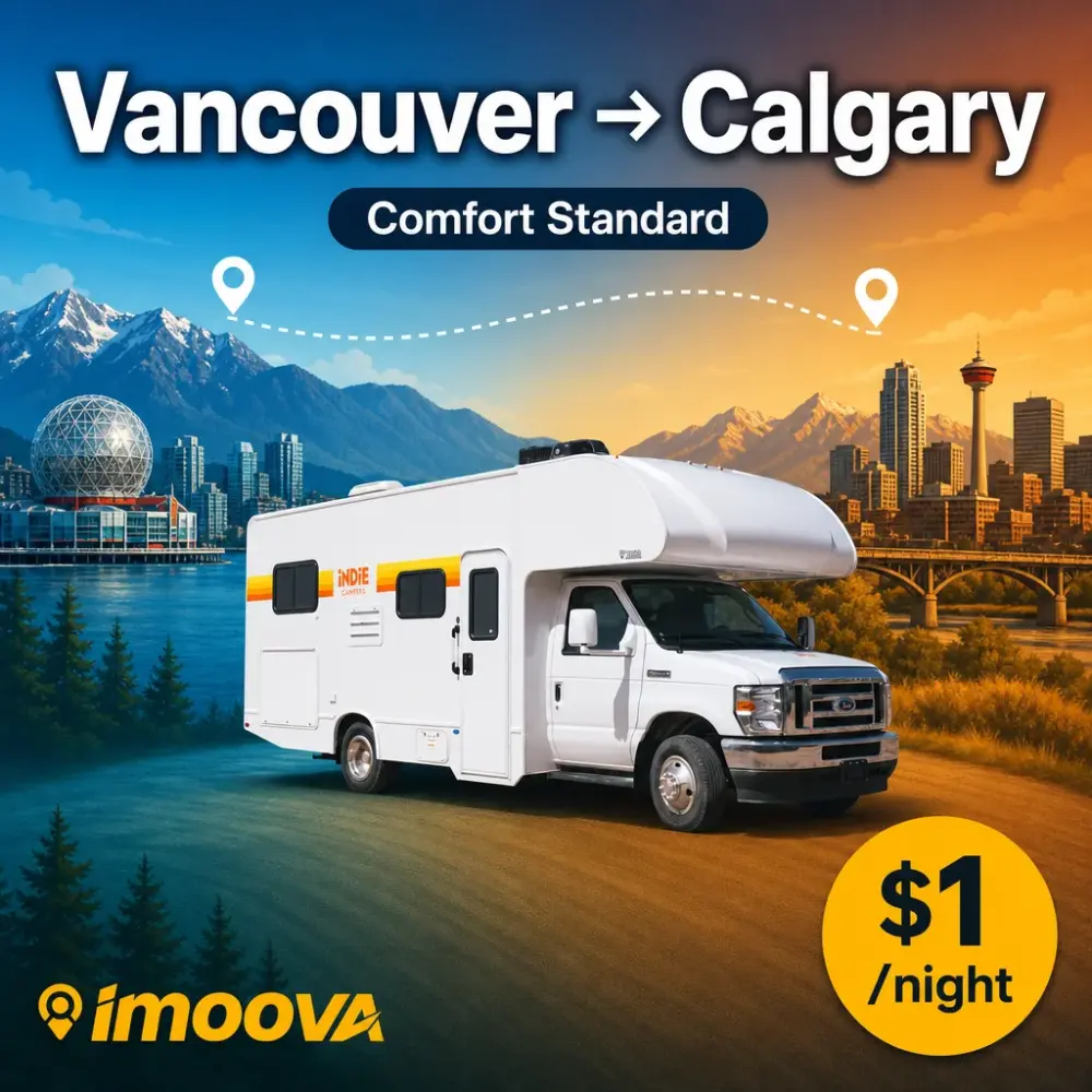 Comfort Standard - image 1