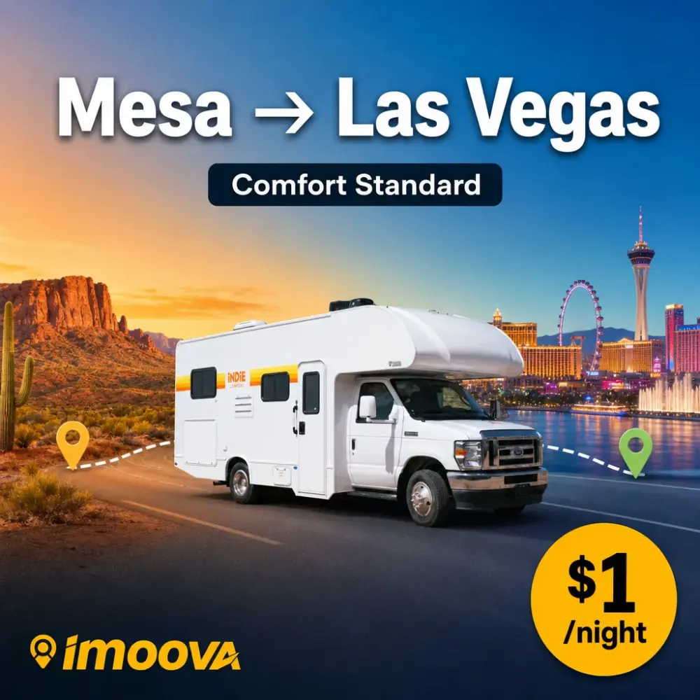Comfort Standard - image 1