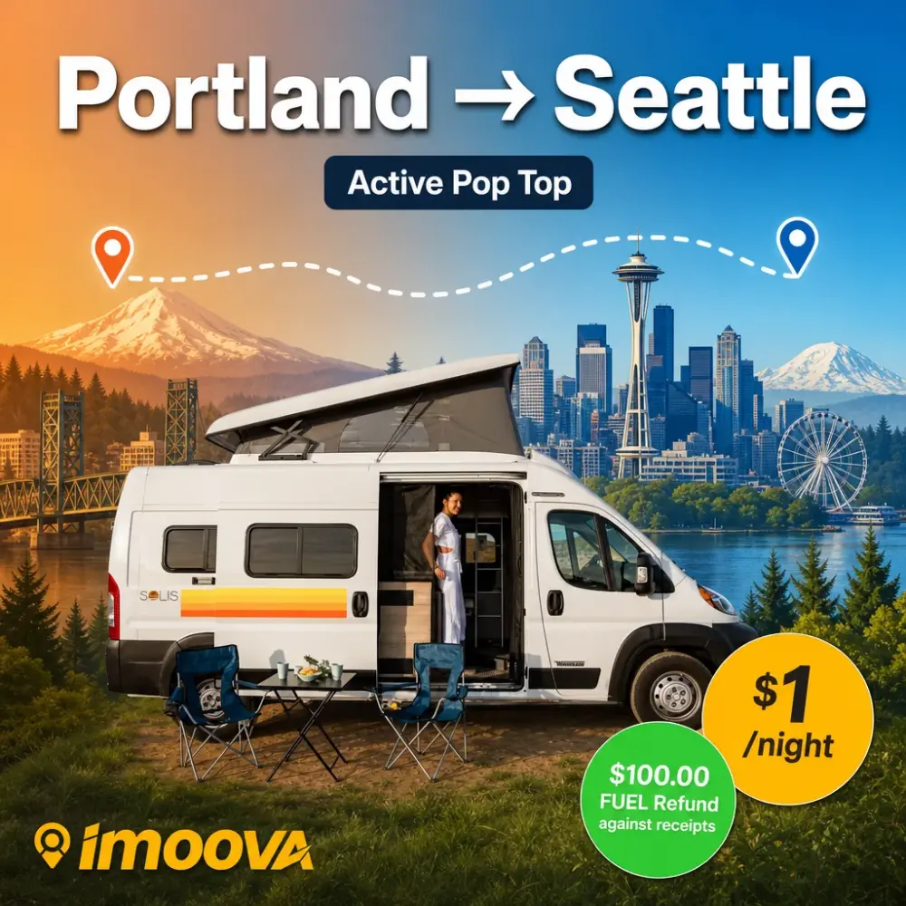Active Pop Top - image 1
