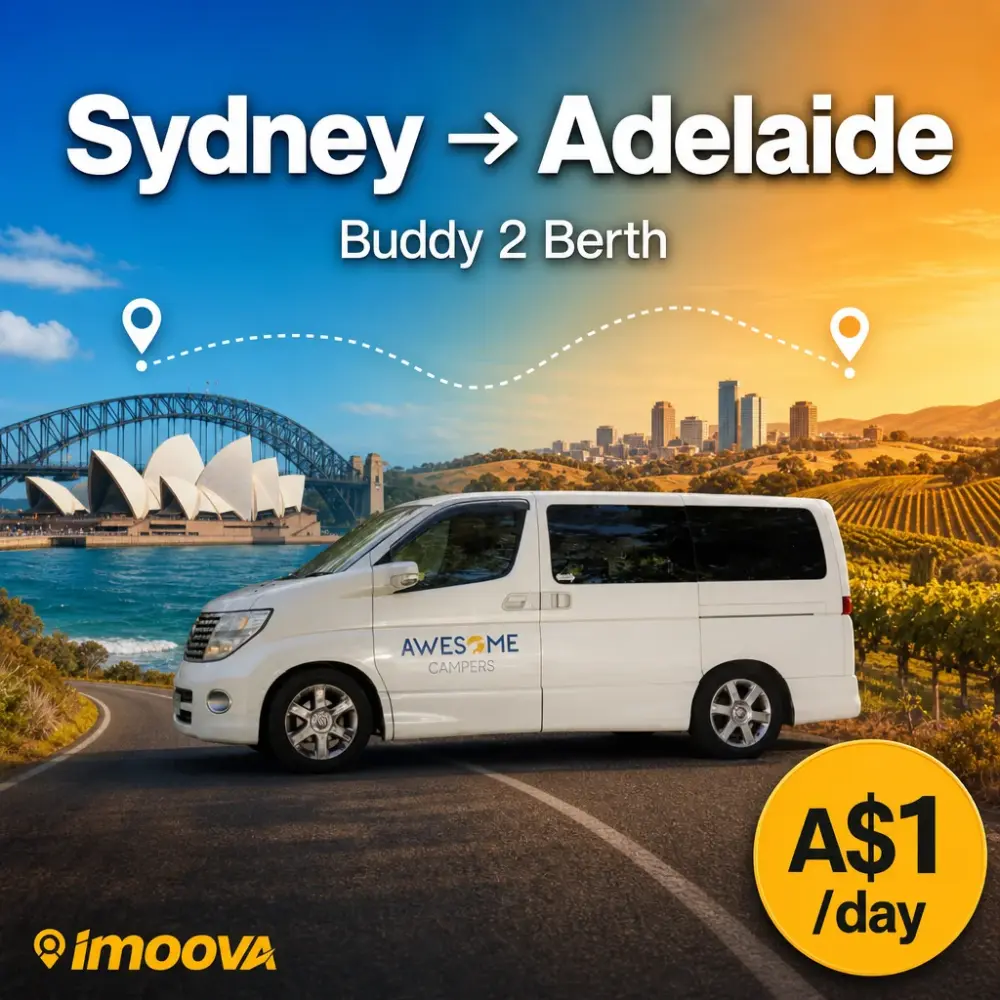 Buddy 2 Berth - image 1