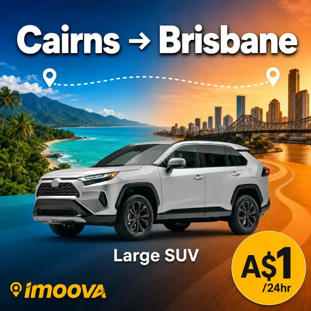 Large SUV - image 1