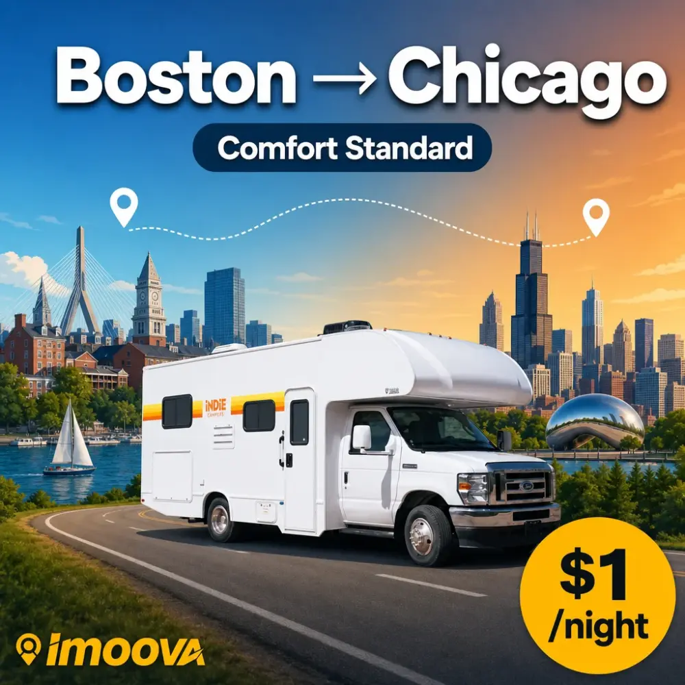 Comfort Standard - image 1