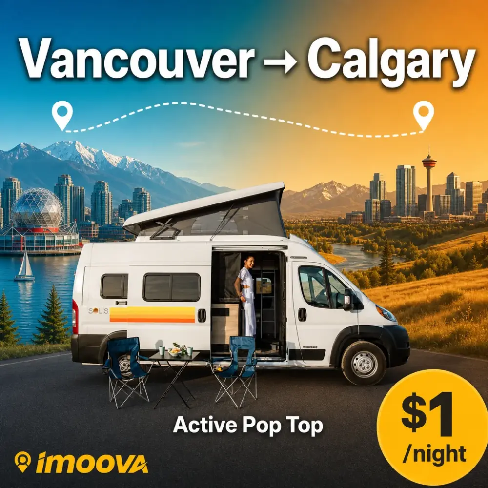 Active Pop Top - image 1