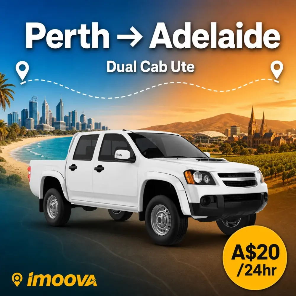Dual Cab Ute - image 1
