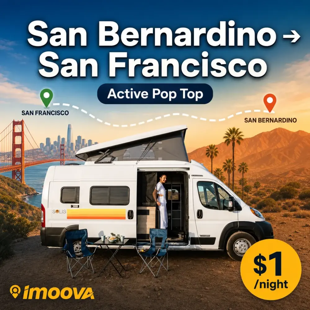 Active Pop Top - image 1