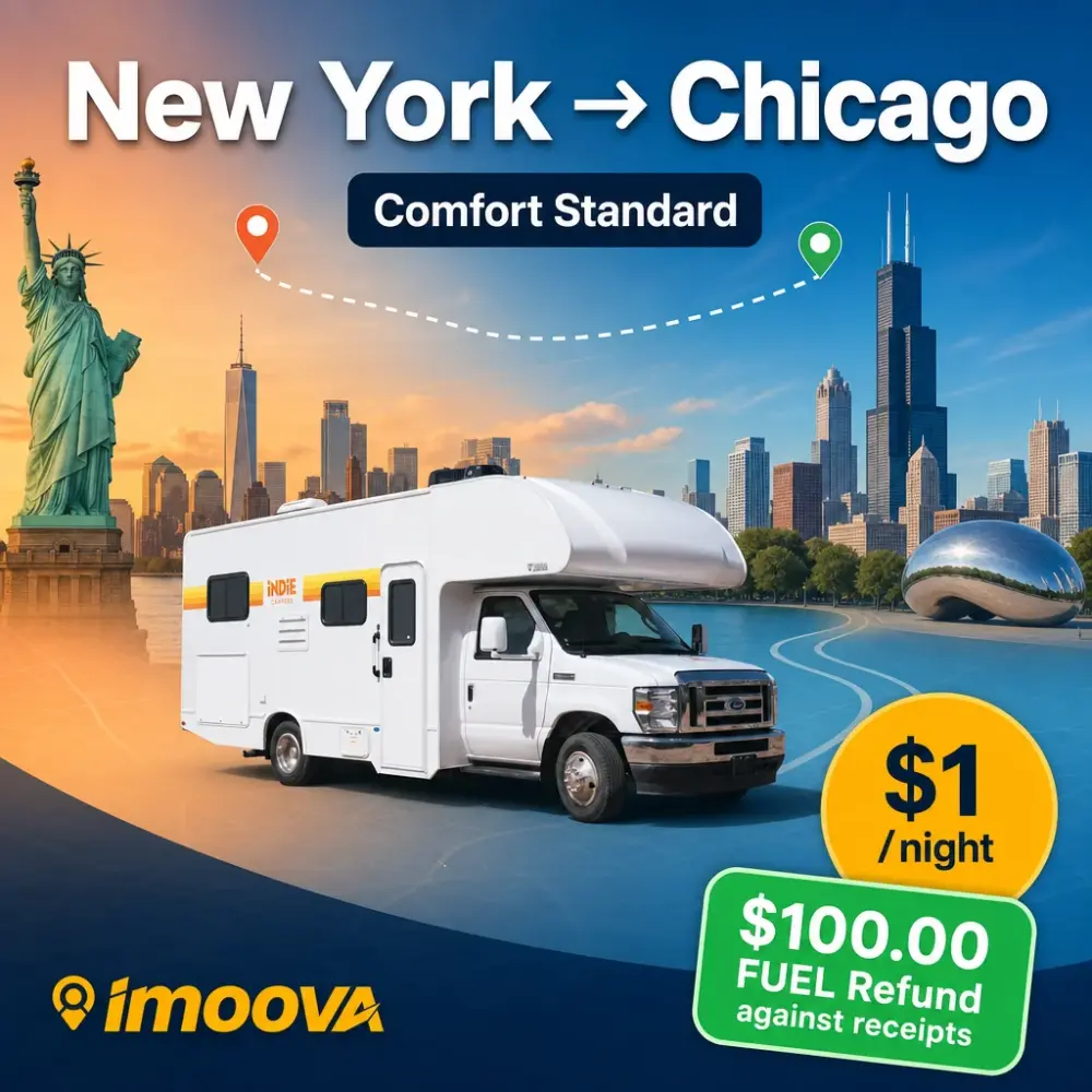 Comfort Standard - image 1