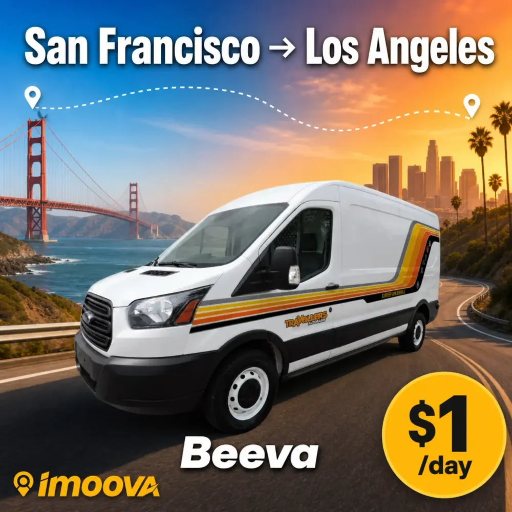 Beeva - image 1