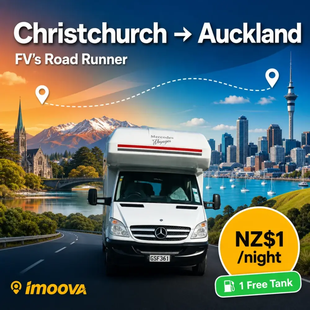 FV's Road Runner - image 1