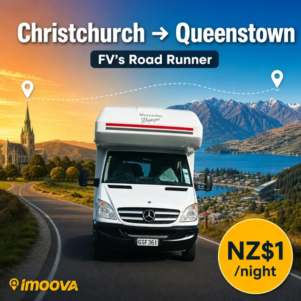 FV's Road Runner - image 1