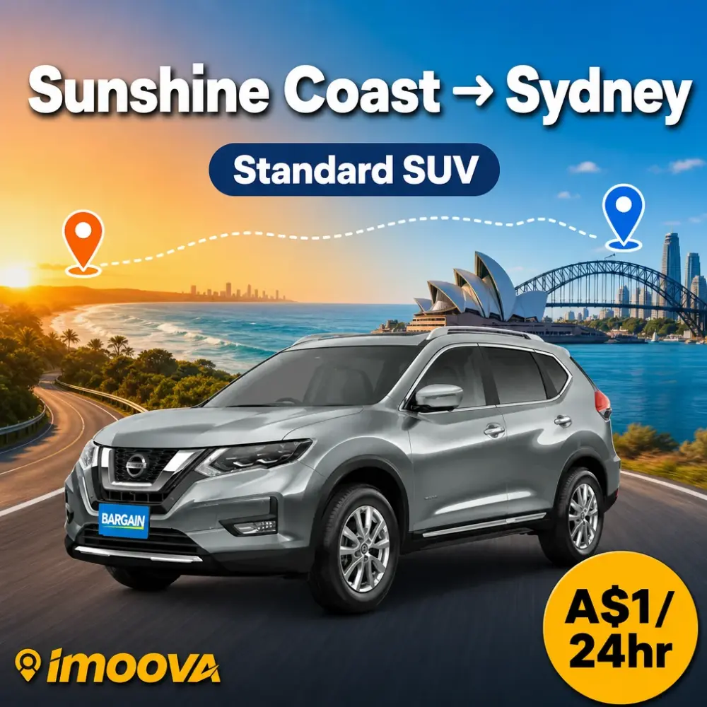 Standard SUV - image 1