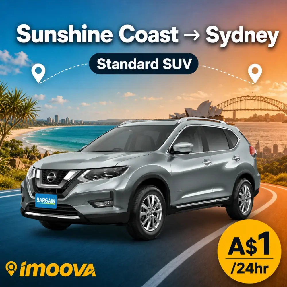 Standard SUV - image 1