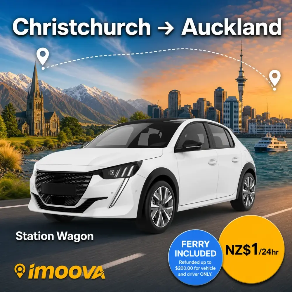 Station Wagon - image 1