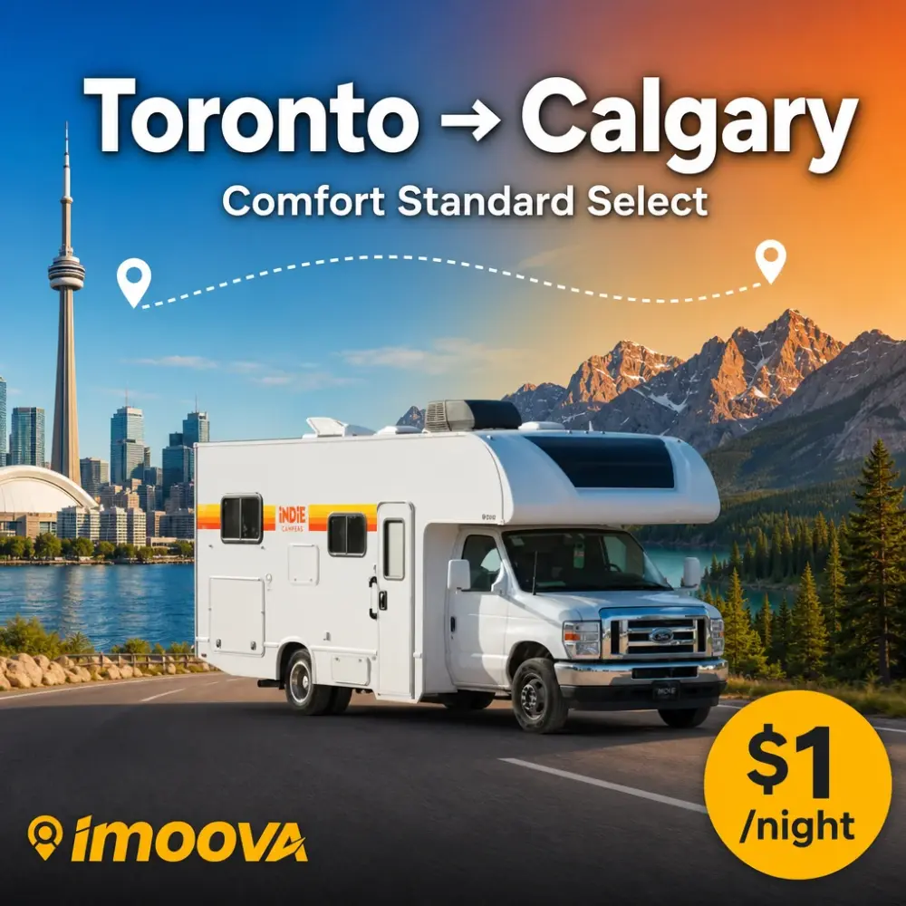Comfort Standard Select - image 1